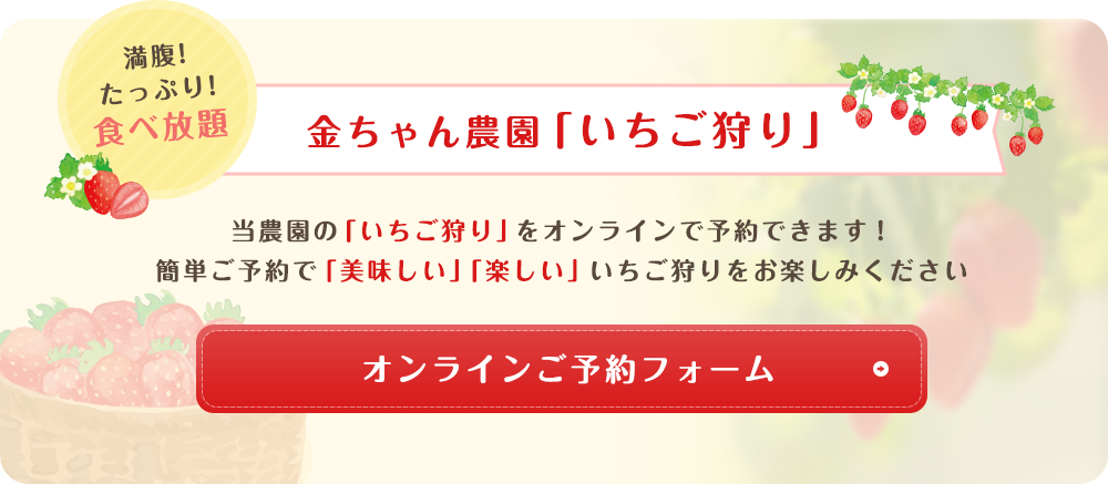 金ちゃん農園 いちご狩り お腹いっぱい食べ放題