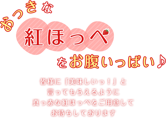 おっきな紅ほっぺをお腹いっぱい♪皆さんに「おいしいっ！」と言ってもらえるように真っ赤な紅ほっぺをご用意してお待ちしております